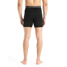 Icebreaker Boxershort Anatomica Long (Merinowolle, längerer Schnitt) Unterwäsche schwarz Herren