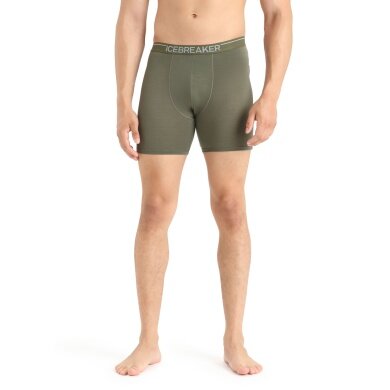 Icebreaker Boxershort Anatomica Long (Merinowolle, längerer Schnitt) Unterwäsche lodengrün Herren