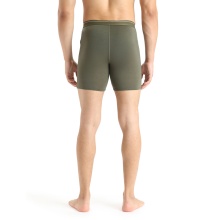 Icebreaker Boxershort Anatomica Long (Merinowolle, längerer Schnitt) Unterwäsche lodengrün Herren