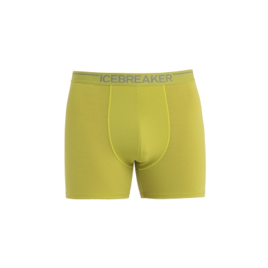 Icebreaker Boxershort Anatomica (Merinowolle) Unterwäsche limegrün Herren