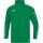 JAKO Allwetterjacke Striker 2.0 grün/weiss Kinder