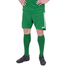 JAKO Sporthose Power (Polyester-Interlock, elastisch, schnelltrocknend) kurz grün Herren