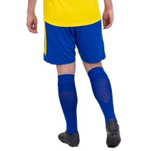 JAKO Sporthose Power (Polyester-Interlock, elastisch, schnelltrocknend) kurz royalblau/gelb Herren