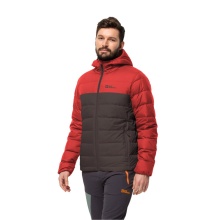 Jack Wolfskin Winter-Daunenjacke Ather Down Hoody (Kapuze, winddicht, wasserabweisend) rot/weinrot Herren