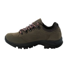 Jack Wolfskin Wanderschuhe Rebellion Texapore Low (Trekking, wasserdicht, 100% PFC-frei) braun/phantomgrau Damen