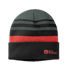 Jack Wolfskin Wintermütze (Beanie) Stripy Knit - dunkelgrün Kinder