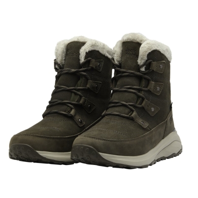 Jack Wolfskin Winterstiefel Dromoventure Texapore High (Texawarm-Isolierung, wasserdicht) braun Damen