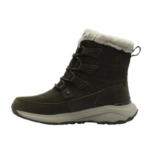 Jack Wolfskin Winterstiefel Dromoventure Texapore High (Texawarm-Isolierung, wasserdicht) braun Damen