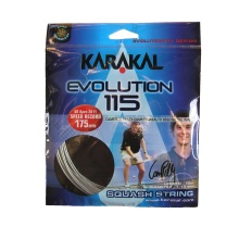 Karakal Squashsaite Evolution 115 silber 10m Set