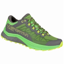 La Sportiva Trail-Laufschuhe Karacal grün/grau Herren