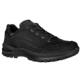 Lowa Wanderschuhe Renegade EVO Lo GTX (All-Terrain, Nubukleder, wasserdicht) schwarz Damen