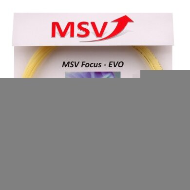 MSV Focus Evo natur Tennissaite