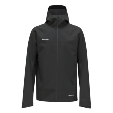 Mammut Hardshell-Wanderjacke Crater Light HS Hooded (wasserdicht, atmungsaktiv) schwarz Herren