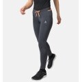 Odlo Laufhose Tights X-Alp Winter (wärmt aktiv, Bewegungsfreiheit, Schmutz- wasserabweisend) blau/grau Damen