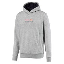 Puma Hoodie Red Bull Racing Dynamic Bull hellgrau Herren