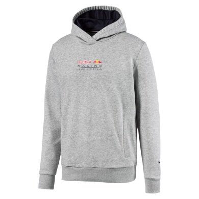 Puma Hoodie Red Bull Racing Dynamic Bull hellgrau Herren