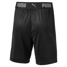 Puma Sporthose Short NXT kurz schwarz Jungen