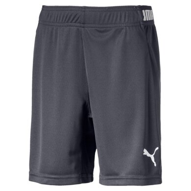 Puma Sporthose Short NXT dunkelgrau Jungen