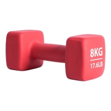 Pure2Improve Fitness Hantel Neopren rot 8,0kg - 1 Stück -