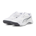 Puma Hallen-Indoorschuhe Solarstrike II weiss/grau Herren