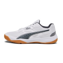 Puma Hallen-Indoorschuhe Solarflash II weiss/dunkelgrau Herren