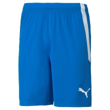 Puma Sporthose teamLIGA Shorts kurz blau Herren