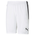 Puma Sporthose teamLIGA Shorts kurz weiss Herren