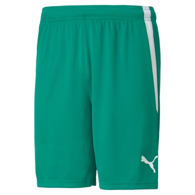 Puma Sporthose teamLIGA Shorts kurz grün Herren