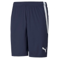 Puma Sporthose teamLIGA Shorts kurz peacoatblau Herren