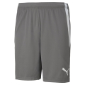 Puma Sporthose teamLIGA Shorts kurz grau Herren