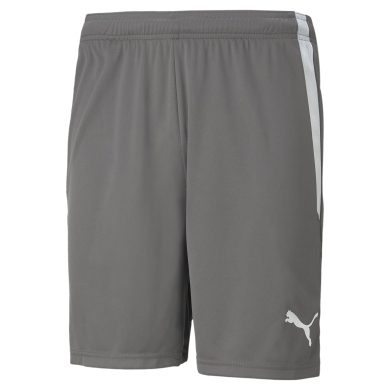 Puma Sporthose teamLIGA Shorts kurz grau Herren