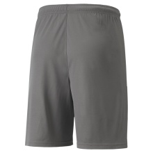 Puma Sporthose teamLIGA Shorts kurz grau Herren