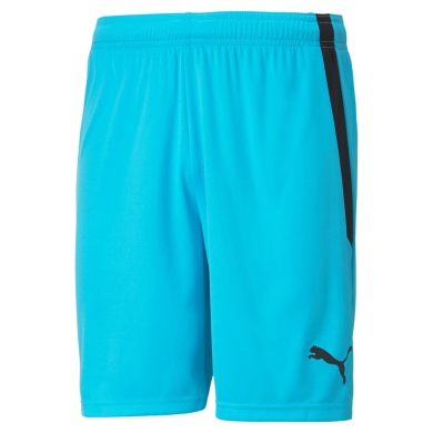 Puma Sporthose teamLIGA Shorts kurz hellblau Herren