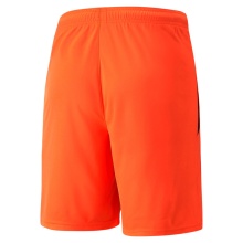 Puma Sporthose teamLIGA Shorts kurz rot/schwarz Herren