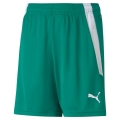 Puma Sporthose teamLIGA Shorts grün Kinder