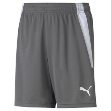 Puma Sporthose teamLIGA Shorts grau Kinder