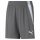 Puma Sporthose teamLIGA Shorts grau Kinder