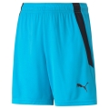 Puma Sporthose teamLIGA Shorts hellblau Kinder