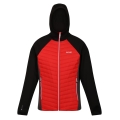 Regatta Hybridjacke Andreson VII (wasserabweisend, isolierend) rot/schwarz Herren