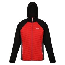 Regatta Hybridjacke Andreson VII (wasserabweisend, isolierend) rot/schwarz Herren