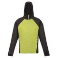 Regatta Hybridjacke Andreson VII (wasserabweisend, isolierend) grün Herren