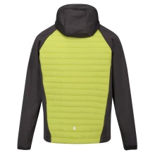 Regatta Hybridjacke Andreson VII (wasserabweisend, isolierend) grün Herren