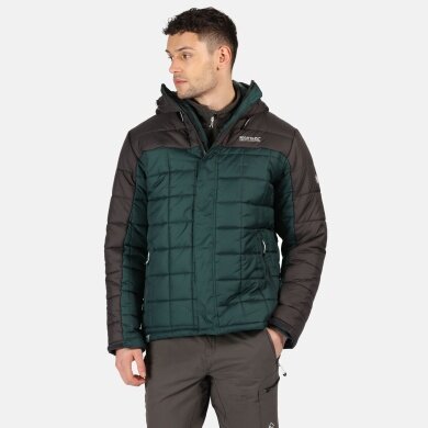 Regatta Winterjacke Nevado IV pine Herren