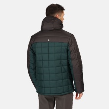 Regatta Winterjacke Nevado IV pine Herren