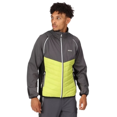 Regatta Softshelljacke und Weste Steren (winddicht, wasserabweisend) grau/lime Herren