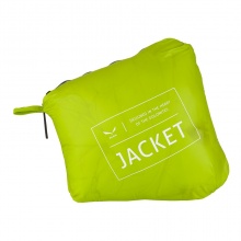 Salewa Isolations-Daunenjacke Ortles Light 2 (ultraleicht, wasserabweisend, windresistent) grün Herren