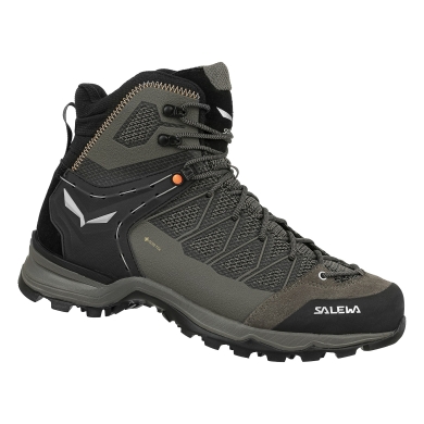 Salewa Wanderschuhe Mtn Trainer Lite Mid GTX (Trekking, wasserdicht) braun Trekking-Herren