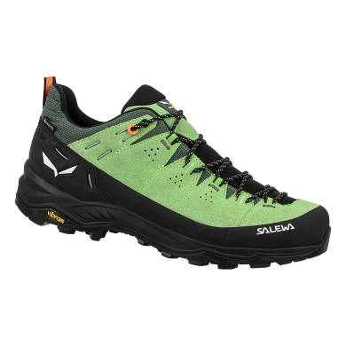 Salewa Wanderschuhe Alp Trainer 2 GTX (Alpine, Wildleder, wasserdicht) grün Herren