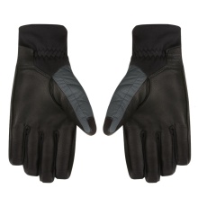 Salewa Winterhandschuhe Ortles Twr - warm, winddicht und atmungsaktiv - schwarz/grau Herren