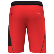 Salewa Wanderhose Short Pedroc Cargo 3 DST Outdoor (wasserabweisend, leicht) kurz rot Herren